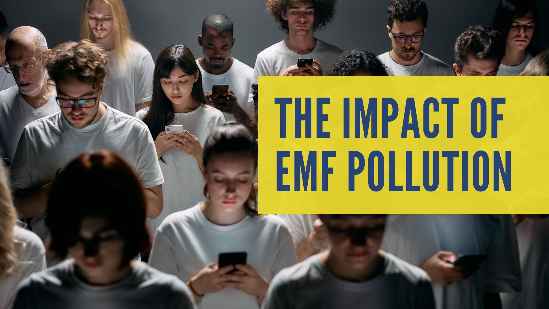 The Impact of EMF Pollution