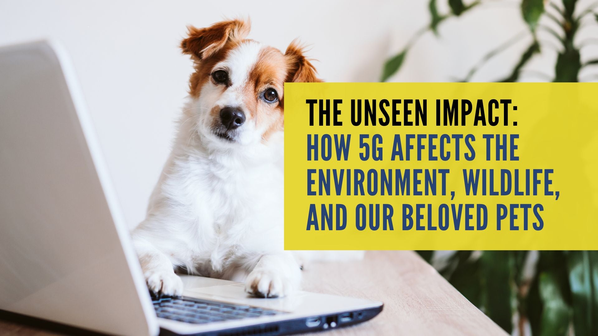 The Unseen Impact: How 5G Affects the Environment, Wildlife, and Your Beloved Pets