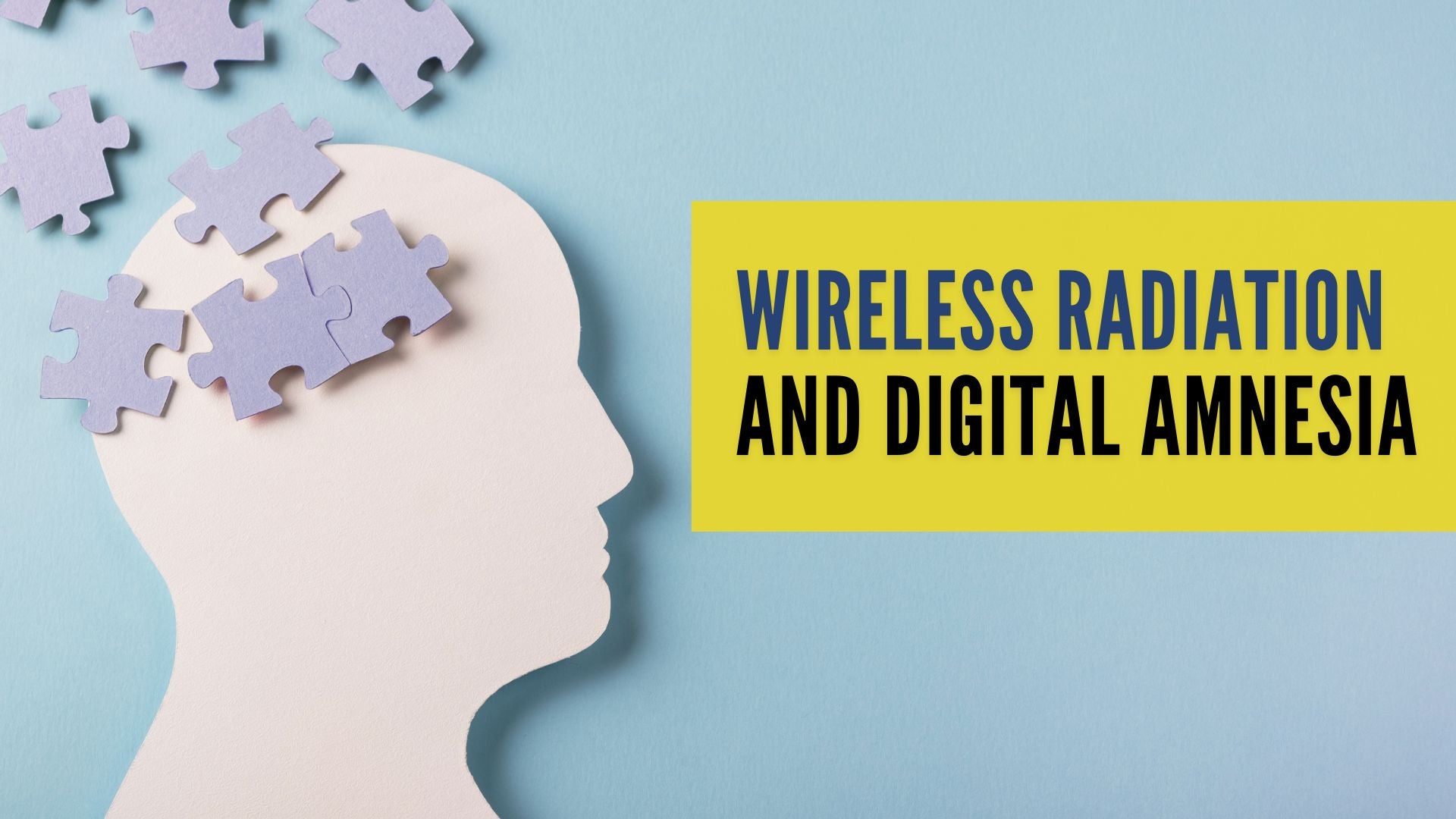 Wireless Radiation and Digital Amnesia